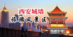 日本少妇被家禽插中国陕西-西安城墙旅游风景区